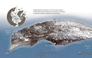 Заповедник Остров Врангеля: животные и растения В каком море находится остров врангеля