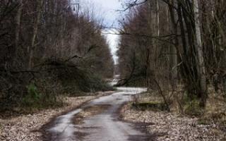 Панорамы Чернобыля: онлайн-прогулка по зоне отчуждения